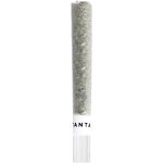 Tantalus - Pacific OG Glass Tip Pre-Roll - 1x1g