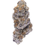 Northern Canna - Hot Rod - 3.5g