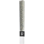 Pistol and Paris - Bubble Hash Infused Pre-Roll - 1x1g