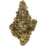 Amani Craft Cannabis - Rockstar - 7g