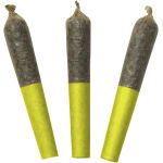 Dab Bods - Jungle Juice 60's+ Dbl Infused Pre-Rolls - 3x0.5g