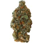 Versus - Girl Scout Cookies - 28g