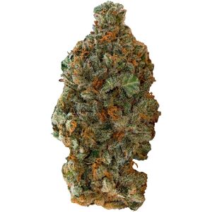 Versus - Girl Scout Cookies - 28g