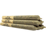 Carmel - Thin Mint x Jealousy Pre-Rolls - 6x0.5g