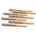 Woody Nelson - Gastro Pop (Country Club) Pre-Rolls - 7x0.5g