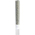 Be Humble. - Rosin Roll Glass Tip Infused Pre-Roll - 1x2g