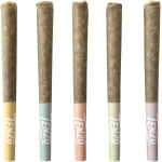 Tenzo - Fun Stix Pre-Rolls - 5x0.3g