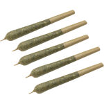 Clem & Co - Mango Fuel Pre-Rolls - 5x0.5g