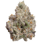 FOUR54 - Cherry Bang Bang - 3.5g