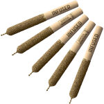 General Admission - Strawberry Mango Infused Pre-Rolls - 5x0.5g