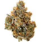 Pineapple Buds - Hawaiian Pineapple - 3.5g