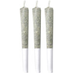 Pineapple Buds - Pineapple Haze Pre-Rolls - 3x0.5g