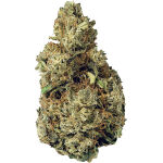 Terp Town Collective - Resting Gas Face - 3.5g