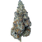 The Florist - Slurriboof - 7g