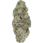 Pistol and Paris - Perma Fried - 3.5g