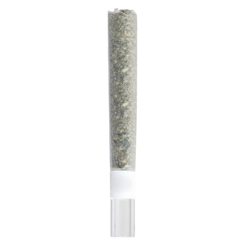 Be Humble. - Rosin Roll Glass Tip Infused Pre-Roll - 1x2g