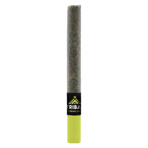 Tribal - Cuban Linx Ceramic Tip Pre-Roll - 1x1g