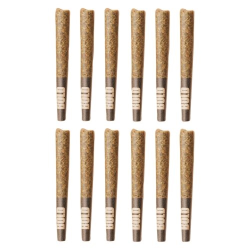 BOLD - Root Beer Float Pre-Rolls - 12x0.5g