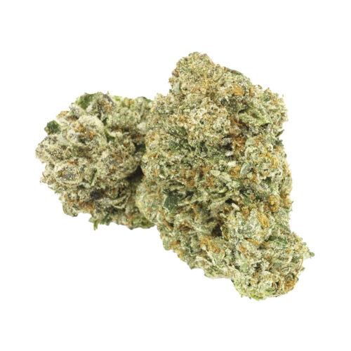 1964 - Comatose - 28g