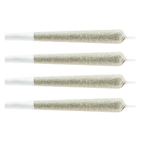 CHUB'S - Snack Pack - Sativa Pre-Rolls - 4x0.5g