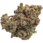 Qwest - Lazer Jet - 7g